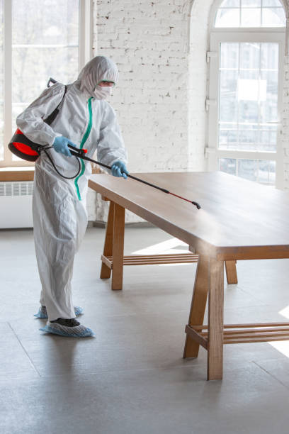 mold remed
