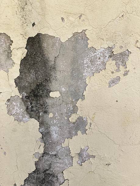 close up view of destroyed wall by humidity in a suburb of caracas city